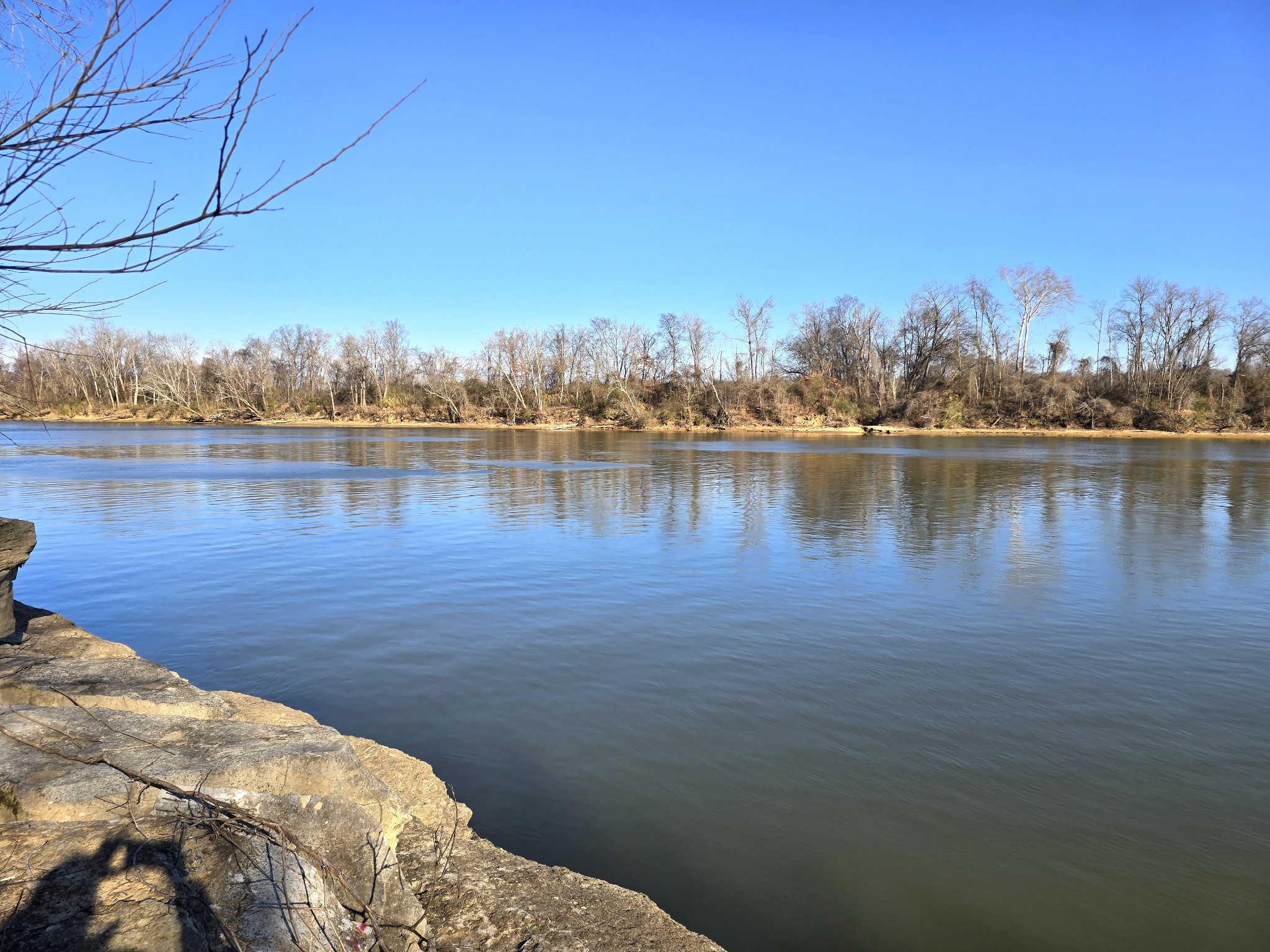 2800 Jarman Hollow Road Palmyra, TN 37142 - Photo 2 of 15 a view of a lake with houses