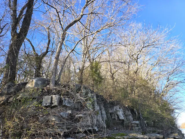 $70,000 | 2800 Jarman Hollow Road, Palmyra, TN 37142