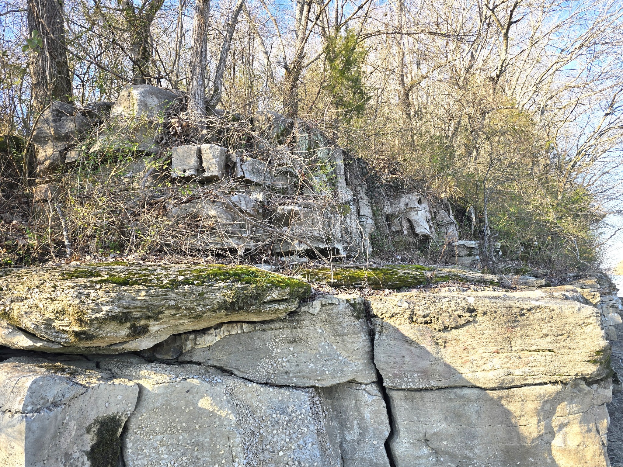 2800 Jarman Hollow Road Palmyra, TN 37142 - Photo 8 of 16