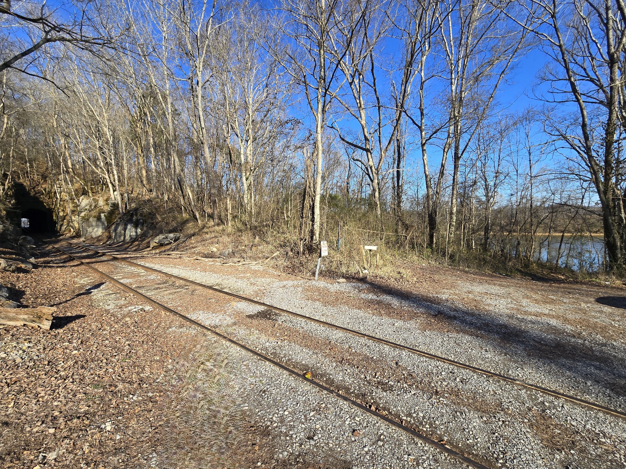 2800 Jarman Hollow Road Palmyra, TN 37142 - Photo 9 of 15 a view of a yard with trees
