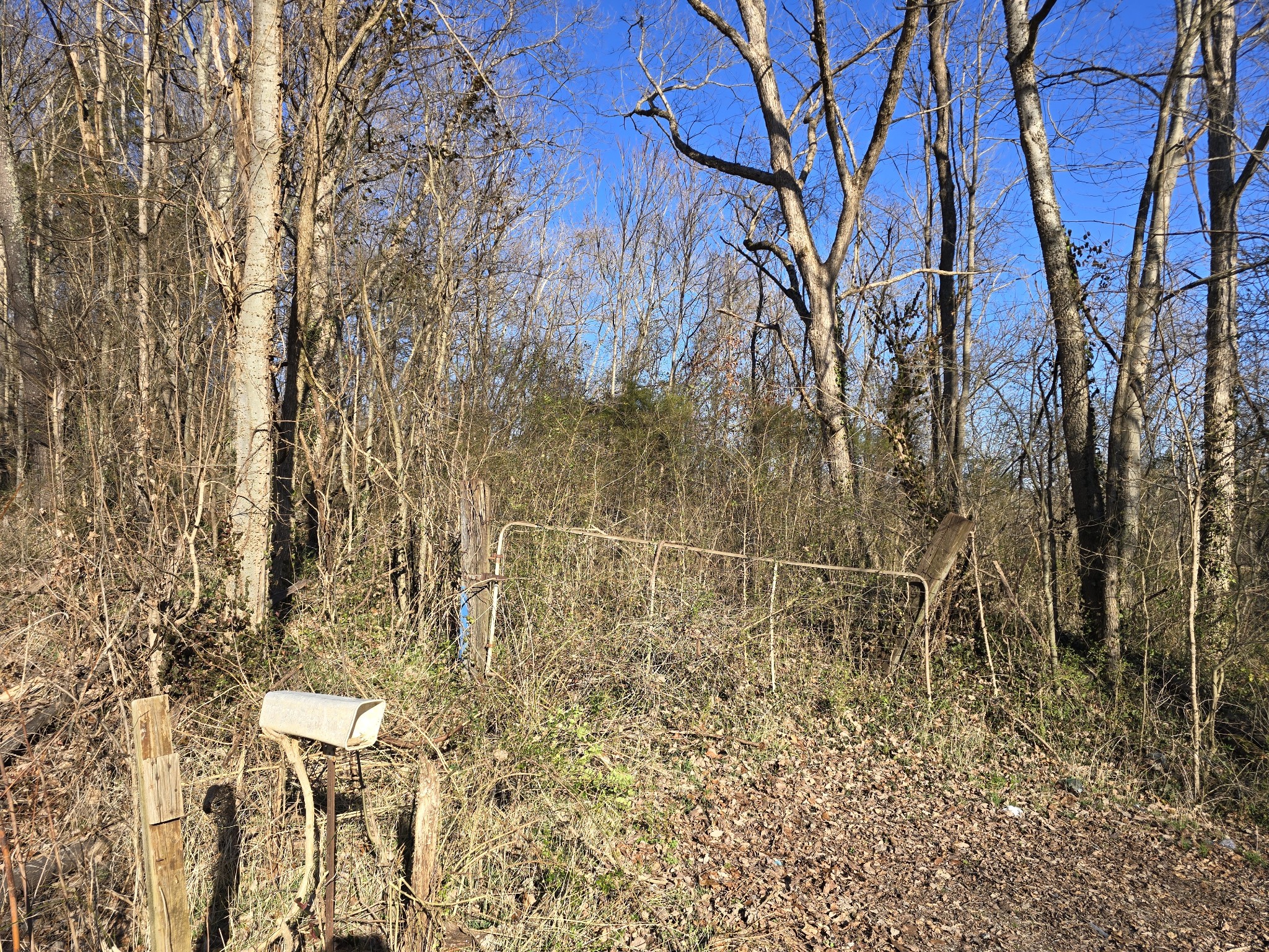 2800 Jarman Hollow Road Palmyra, TN 37142 - Photo 9 of 16