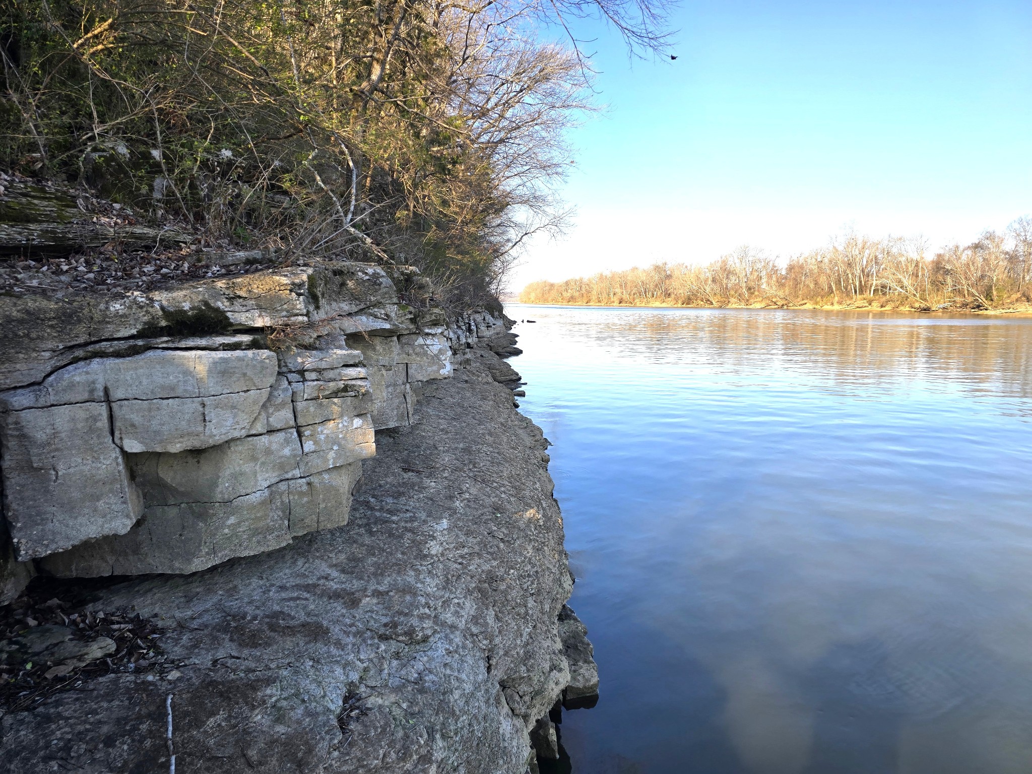 2800 Jarman Hollow Road Palmyra, TN 37142 - Photo 10 of 15 a view of a lake with mountain