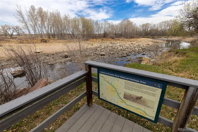 a view of a lake with beach and large trees