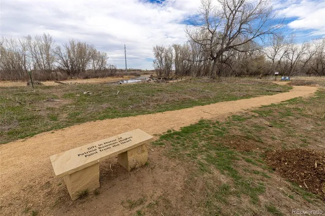 a view of a park with a bench