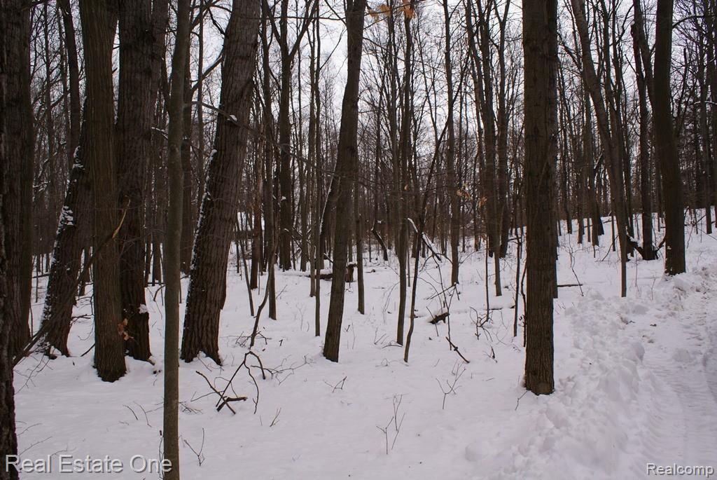 1 Miller Road Attica, MI 48412 - Photo 12 of 14