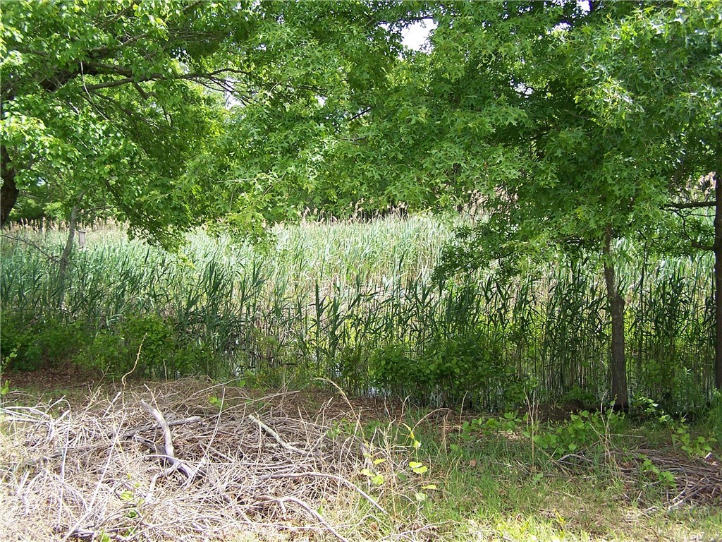 4 Diamond Hill Road Hopkinton, RI 02808 - Photo 9 of 40 looking off back porch there is a pond with frogs and crickets chirping...