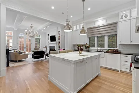 $3,500,000 | 2633 North Dayton Street, Chicago, IL 60614