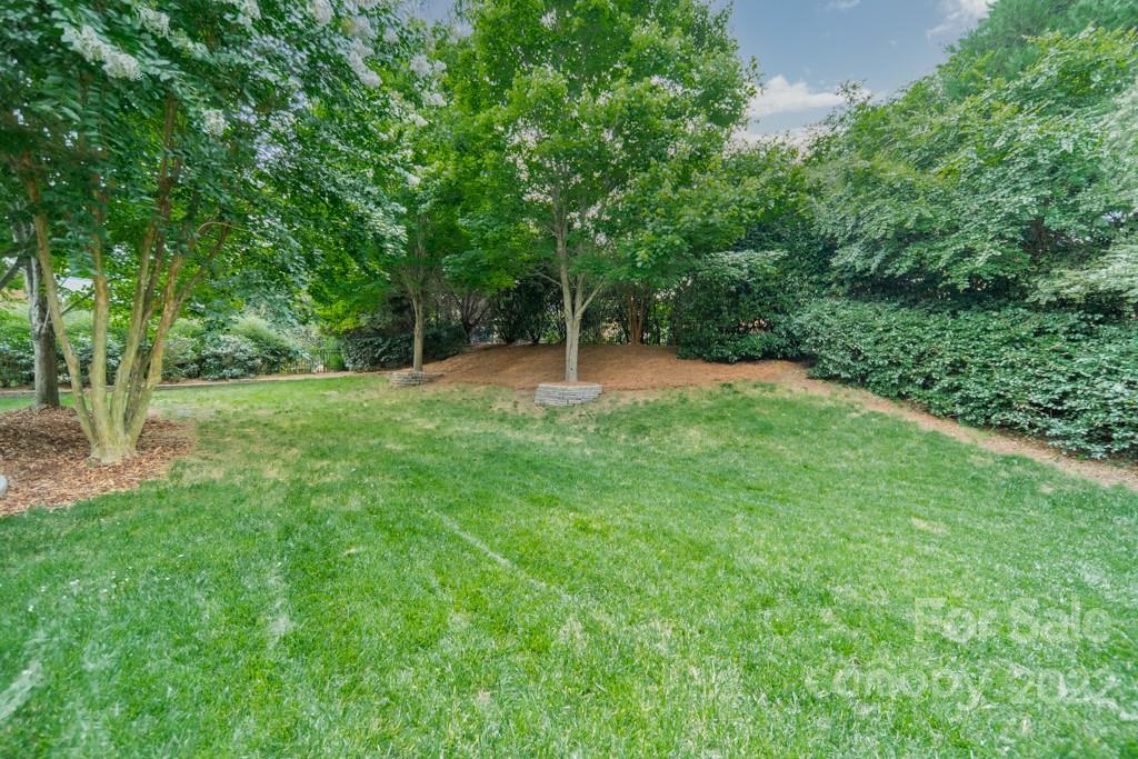 9622 Baileywick Road Charlotte, NC 28277 - Photo 37 of 39 a backyard of a house with lots of green space