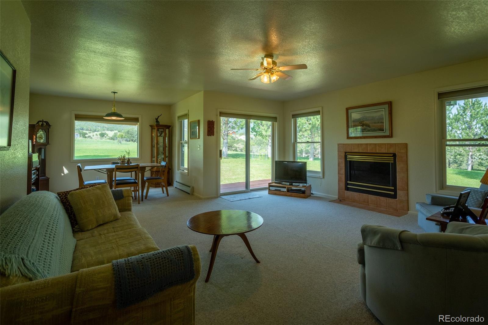 199 East Blarney Stone Road Howard, CO 81233 - Photo 12 of 35 Gallery Image 12