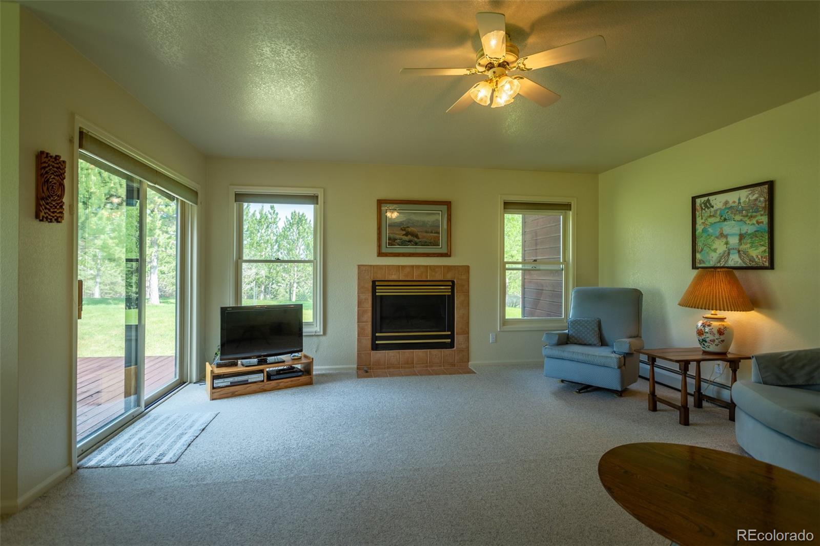 199 East Blarney Stone Road Howard, CO 81233 - Photo 14 of 35 Gallery Image 14