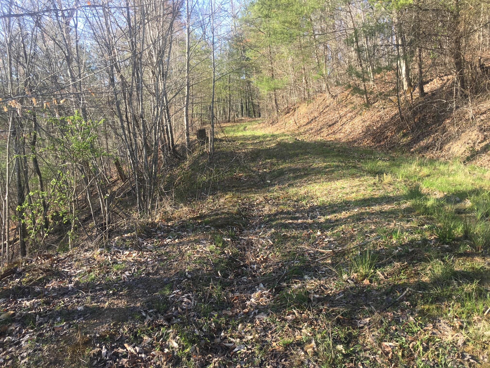 2347 Paint Rock Road Oneida, TN 37841 - Photo 7 of 21 paint rock woods 2