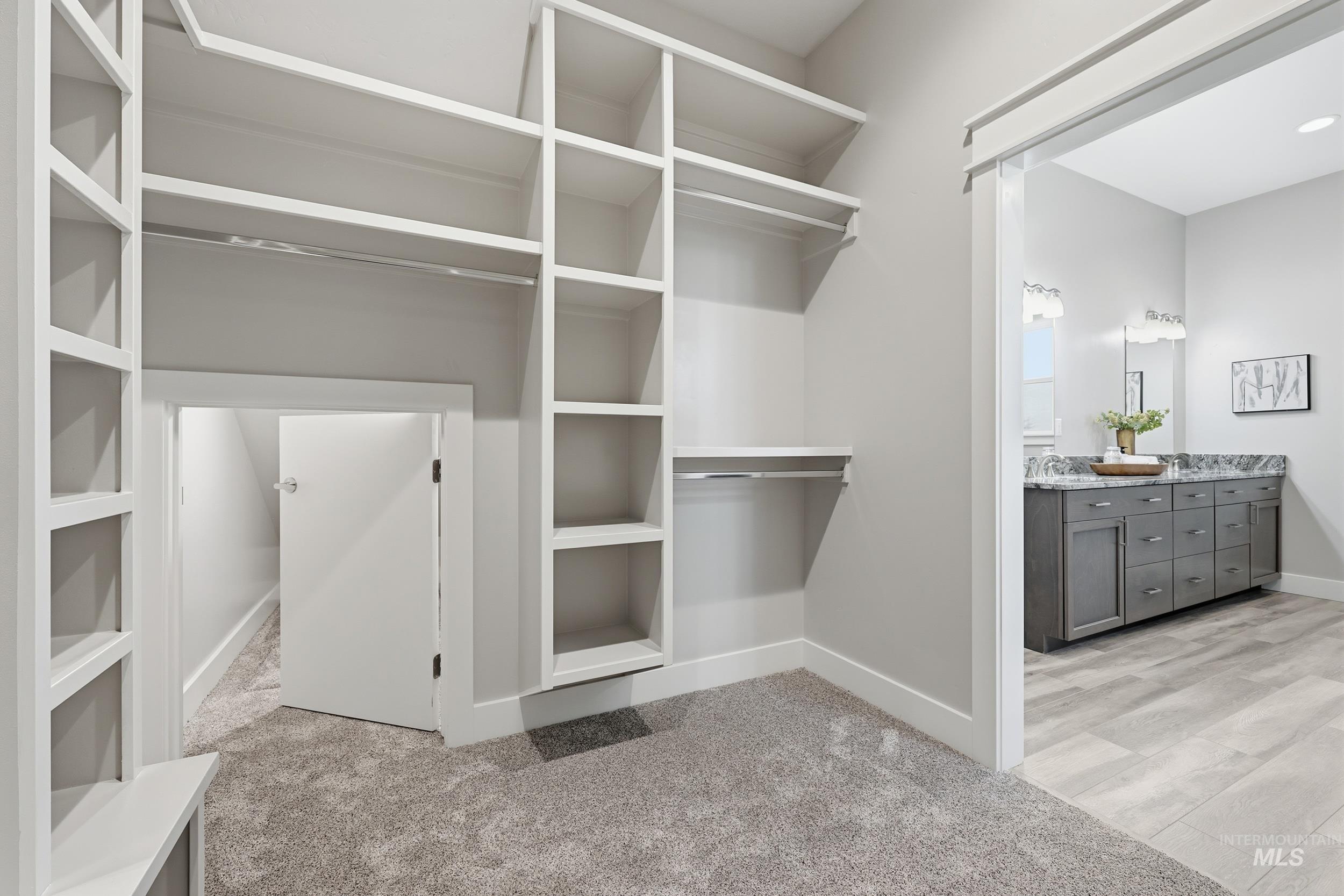 9264 Basin Kid Court Middleton, ID 83644 - Photo 28 of 50 Walk in closet featuring light carpet