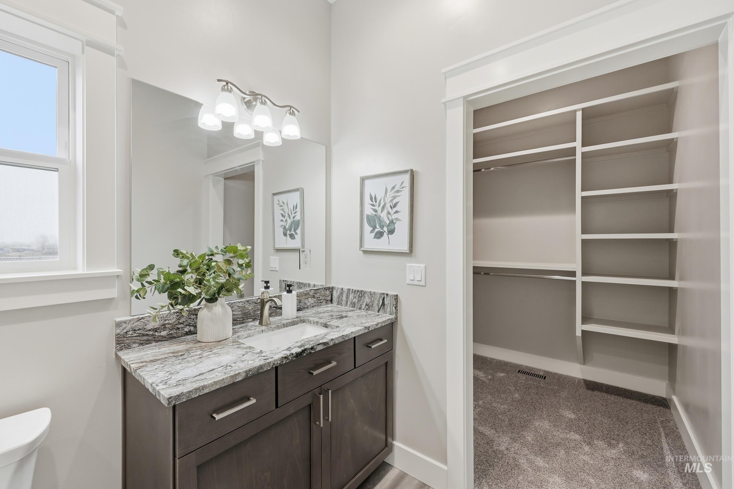 9264 Basin Kid Court Middleton, ID 83644 - Photo 36 of 50 Bathroom featuring vanity, light colored carpet, and a spacious closet