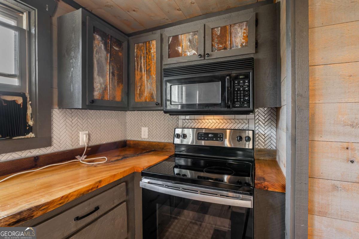 2637 River Road Mineral Bluff, GA 30559 - Photo 27 of 69 a kitchen with a stove and a microwave