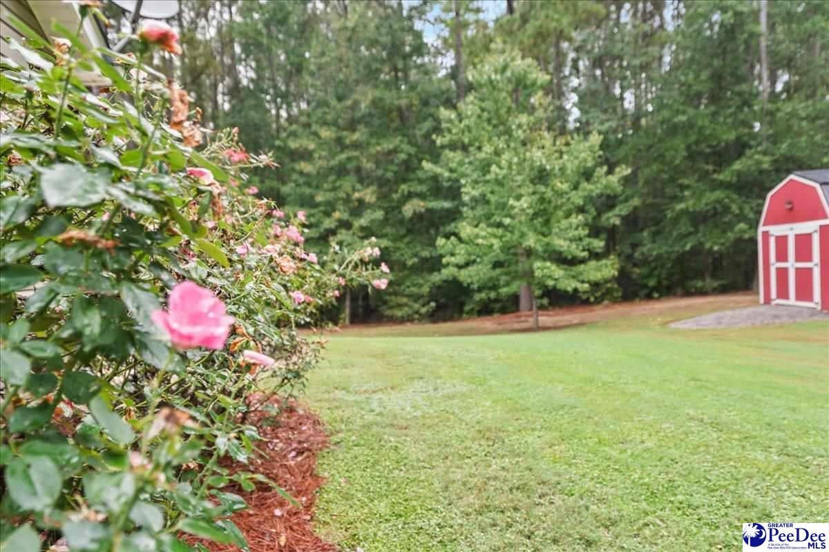 20 Fred Davis Road Cheraw, SC 29520 - Photo 38 of 41 Gallery Image 38