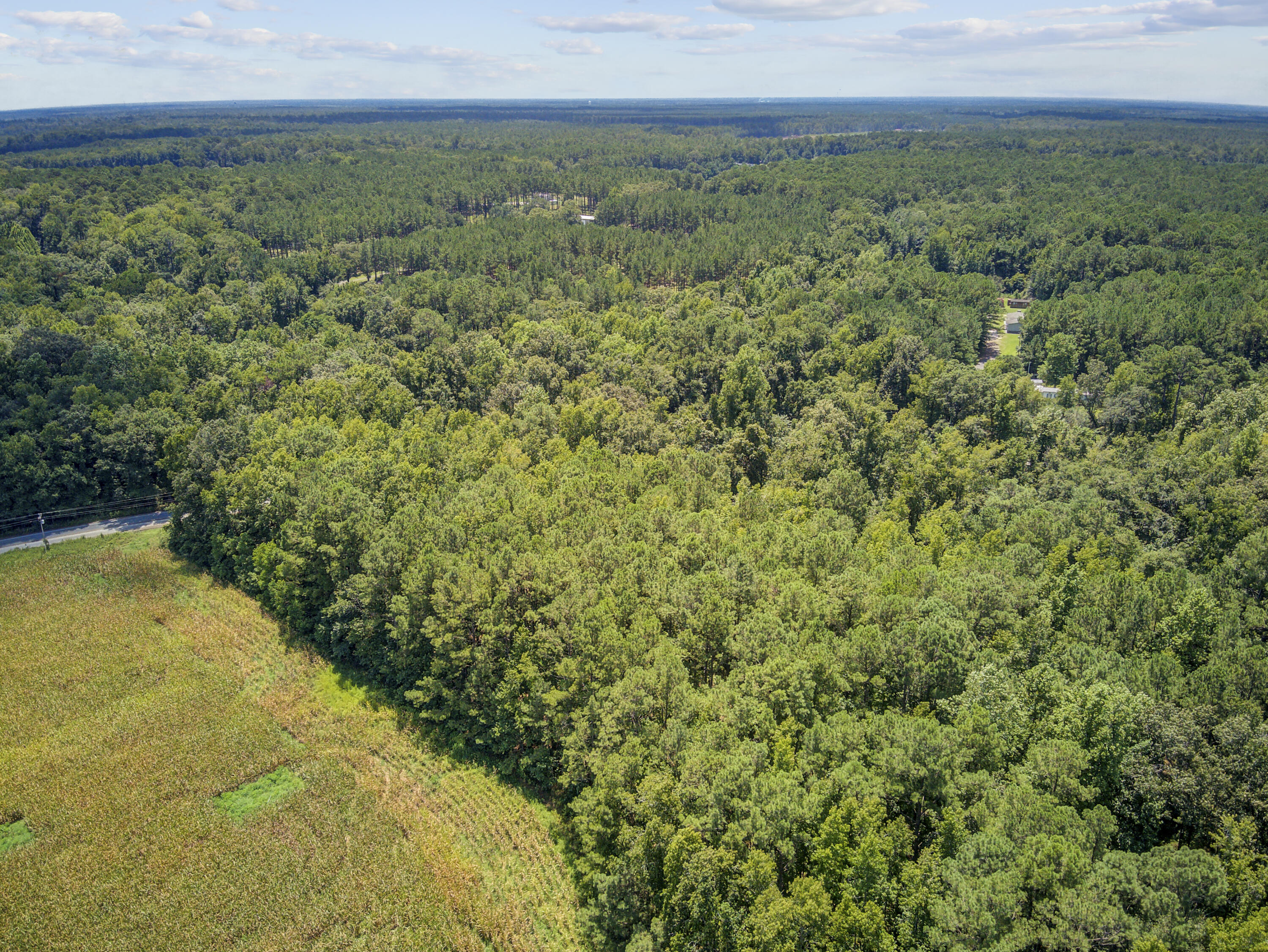 Lot 6 Hill Branch Road Ridgeville, SC 29472 - Photo 2 of 4 Aerial
