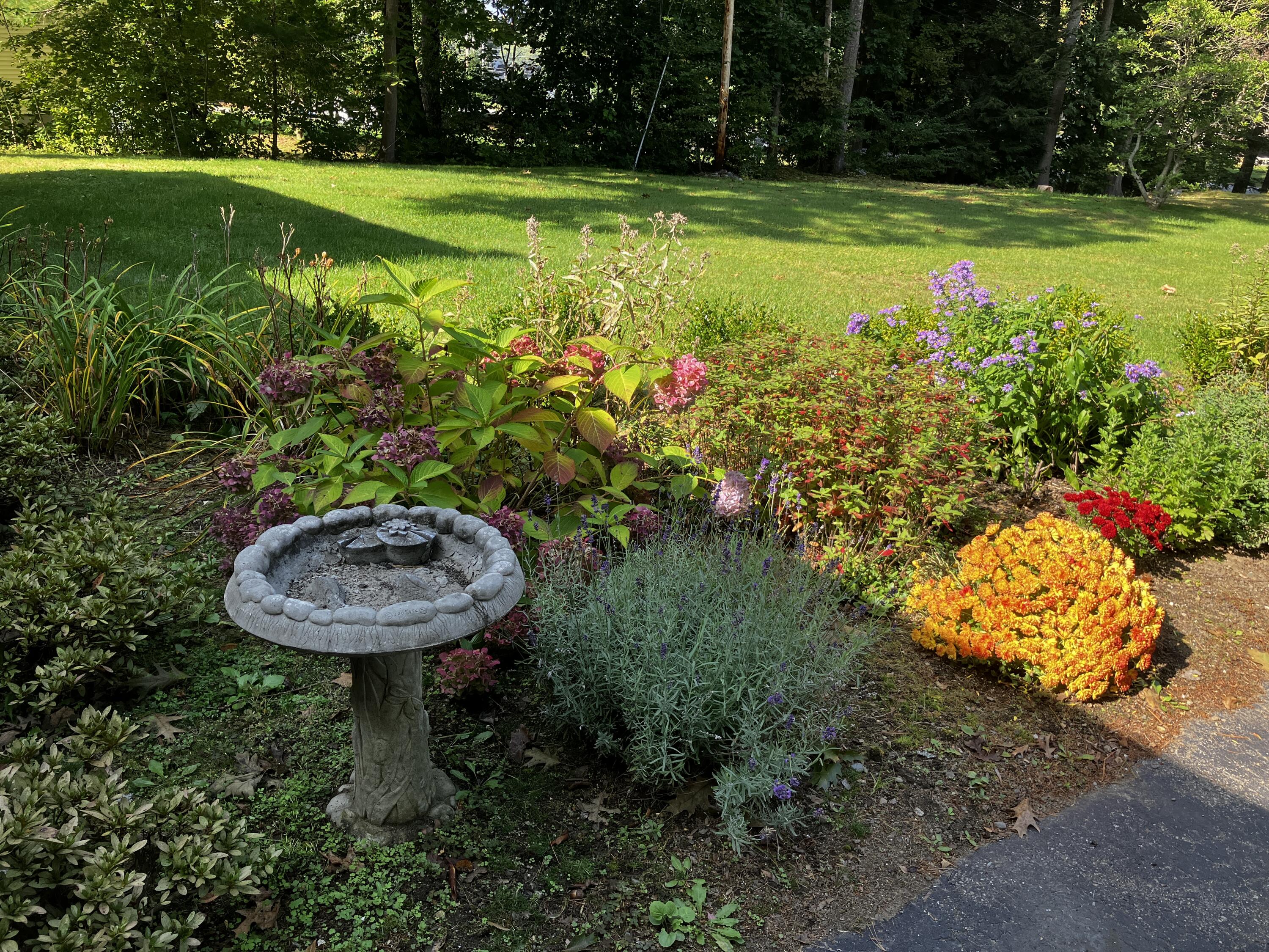 310 Pool Street Biddeford, ME 04005 - Photo 51 of 57 51