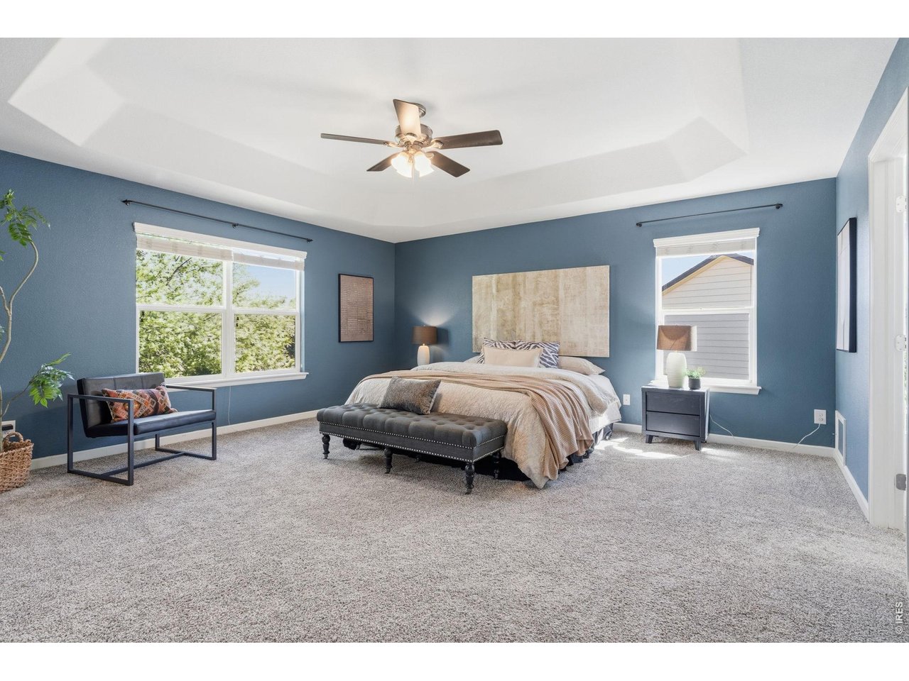 543 Botley Court Windsor, CO 80550 - Photo 22 of 50 Lots of space here