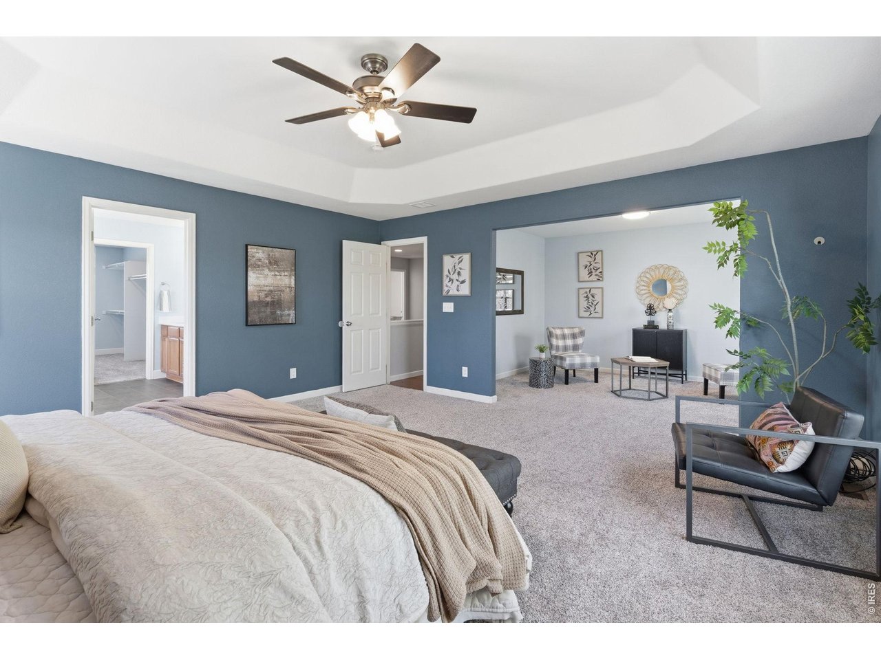 543 Botley Court Windsor, CO 80550 - Photo 24 of 50 Beautiful layout