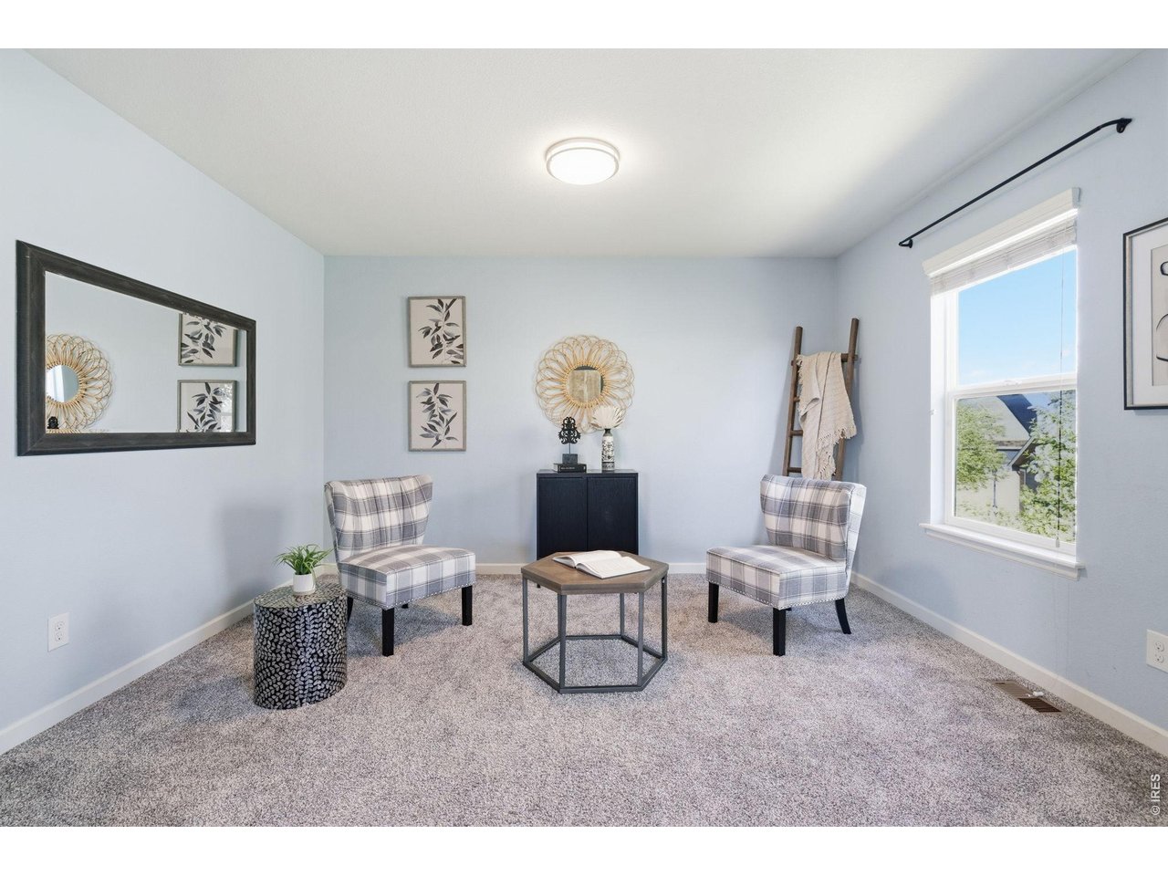 543 Botley Court Windsor, CO 80550 - Photo 25 of 50 Primary bedroom retreat/office