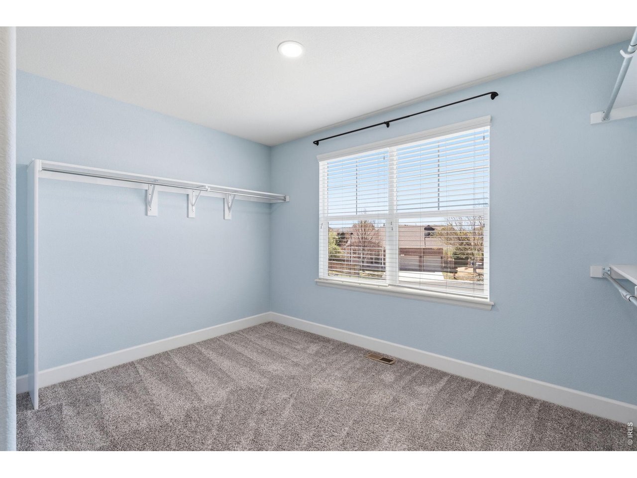543 Botley Court Windsor, CO 80550 - Photo 28 of 50 Primary closet is huge