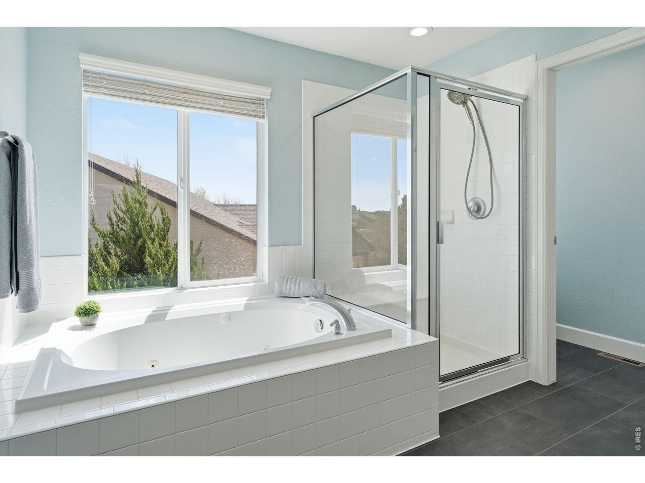 543 Botley Court Windsor, CO 80550 - Photo 29 of 50 Primary Bathroom
