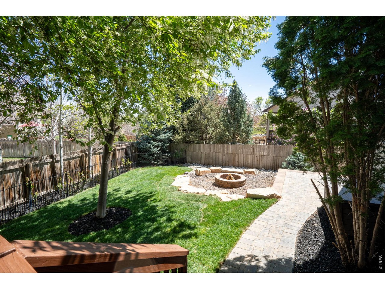 543 Botley Court Windsor, CO 80550 - Photo 46 of 50 Beautiful yard