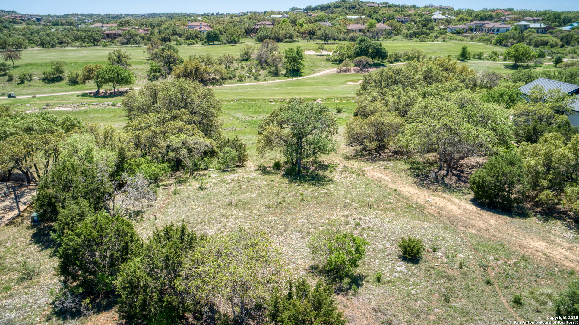 a view of a lush green forest with lots of trees