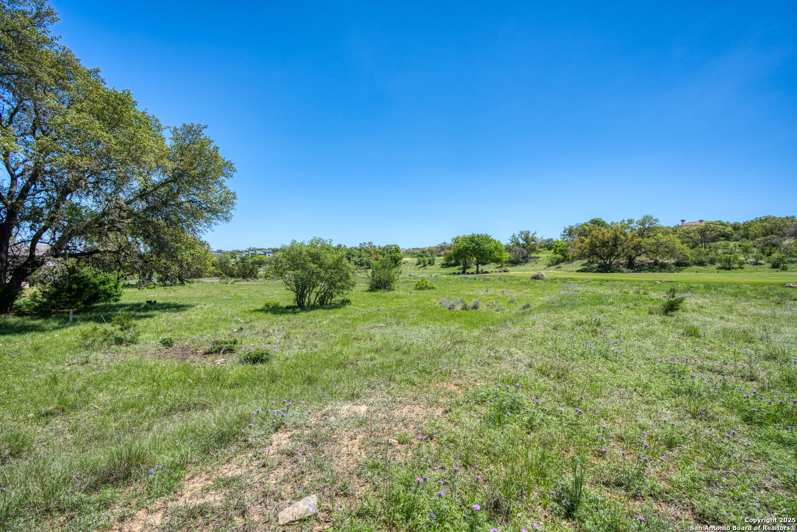 Lot 15 Muirfield Boerne, TX 78006 - Photo 14 of 18 a view of a big yard with plants and large trees