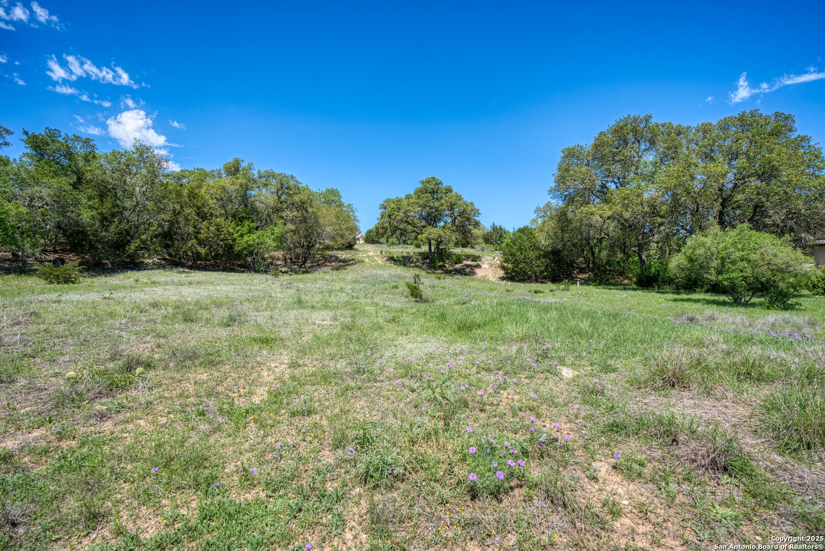 Lot 15 Muirfield Boerne, TX 78006 - Photo 15 of 18 a view of a grassy field with trees in the background