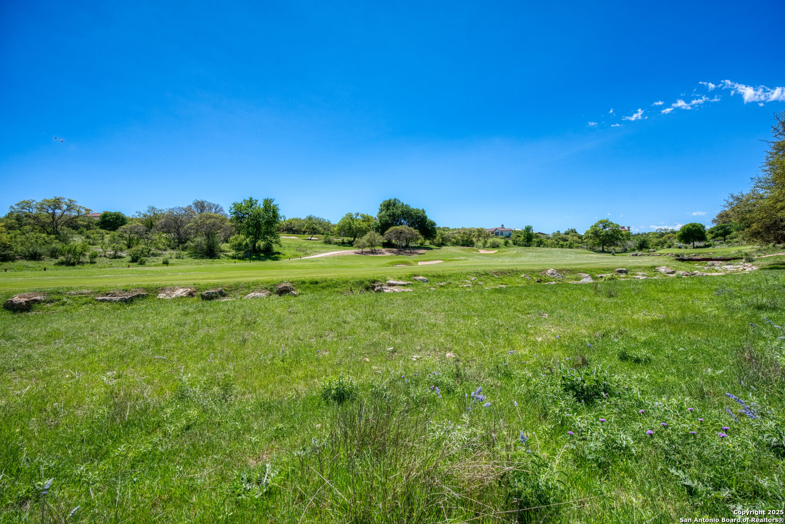 Lot 15 Muirfield Boerne, TX 78006 - Photo 16 of 18 a view of a grassy field with trees