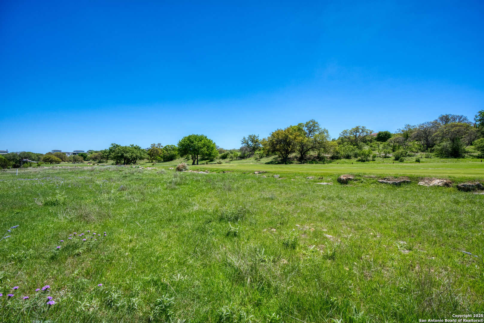 Lot 15 Muirfield Boerne, TX 78006 - Photo 17 of 18 a view of a grassy field with trees