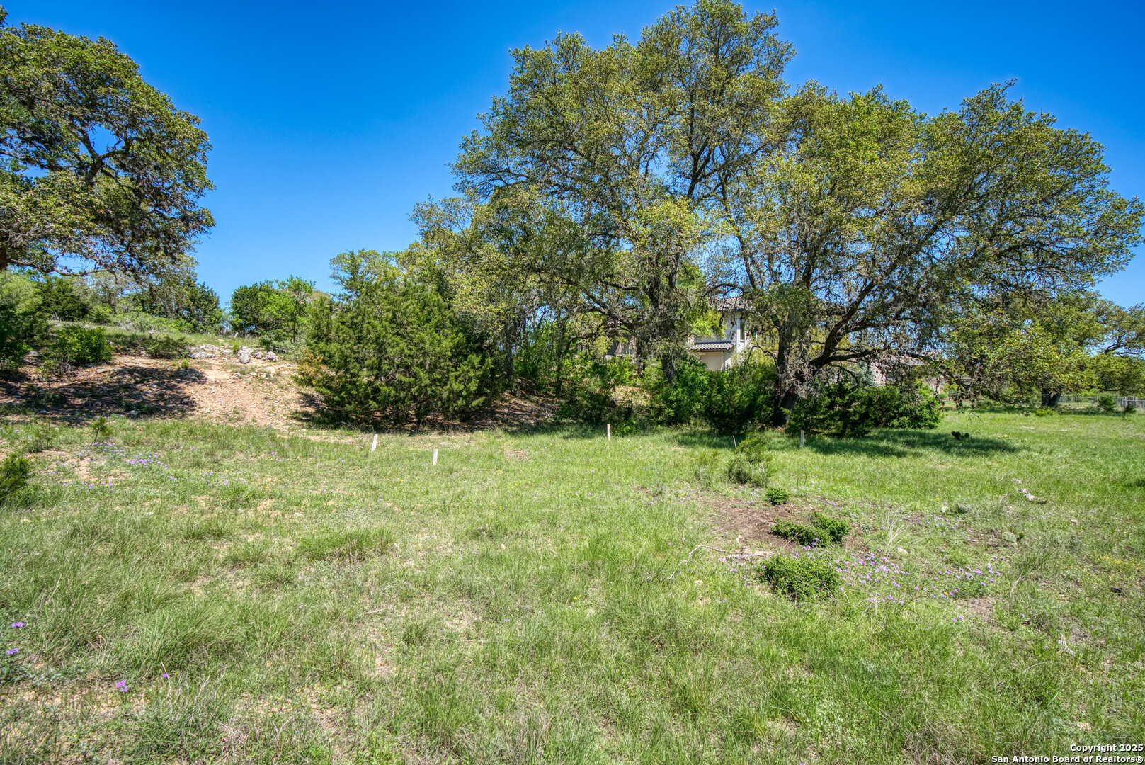 Lot 15 Muirfield Boerne, TX 78006 - Photo 18 of 18 a view of a yard with plants and trees