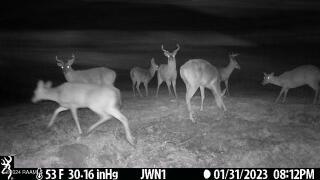 0 Spencer Rd Lake Gueydan, LA 70542 - Photo 14 of 16 IMG_2038