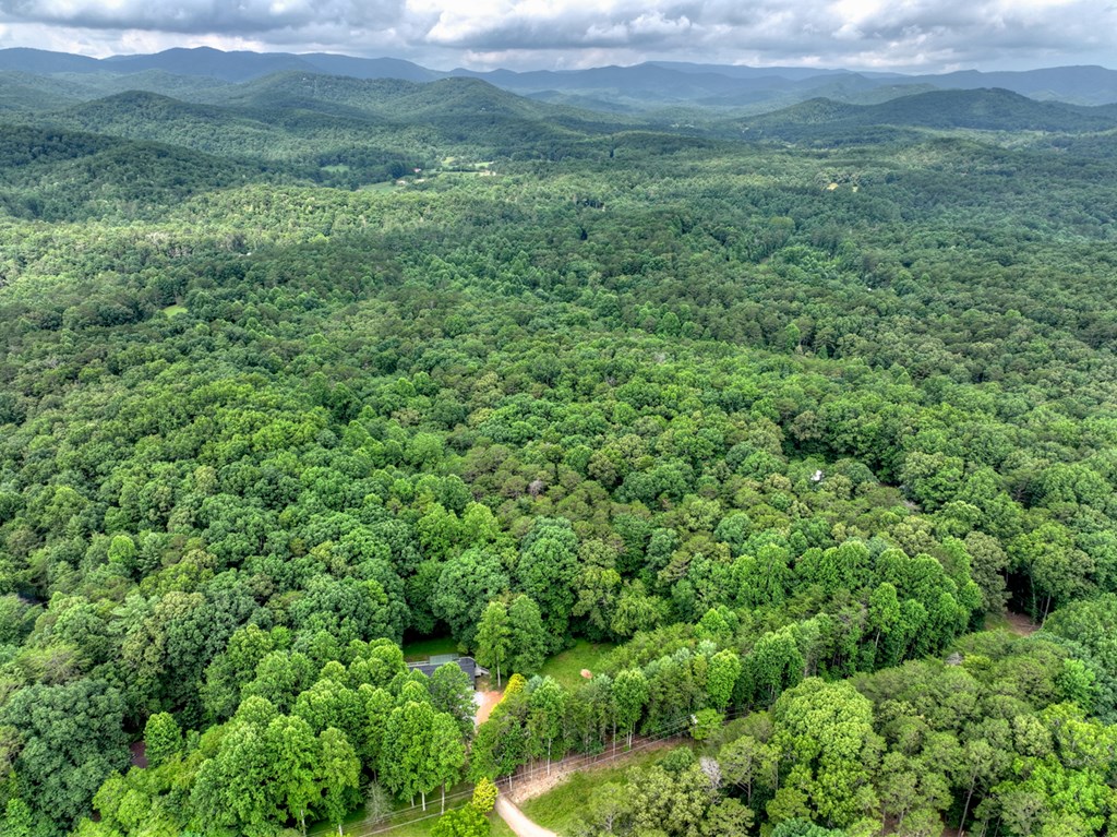 232 Chestnut Gap Road Blue Ridge, GA 30513 - Photo 29 of 37