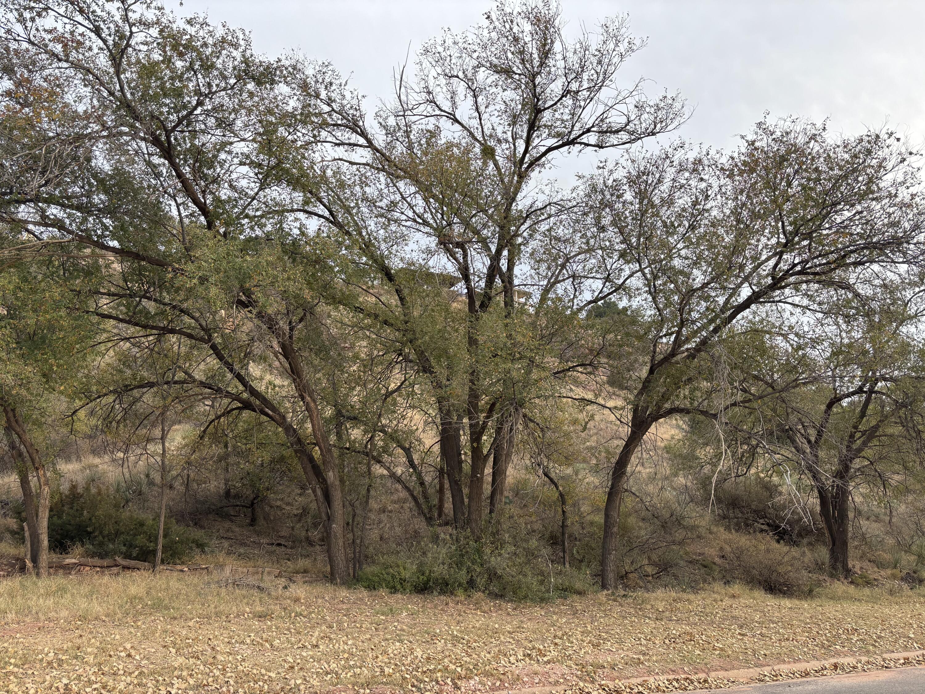 70 East Lakeshore Drive Ransom Canyon, TX 79366 - Photo 2 of 10 IMG_3651