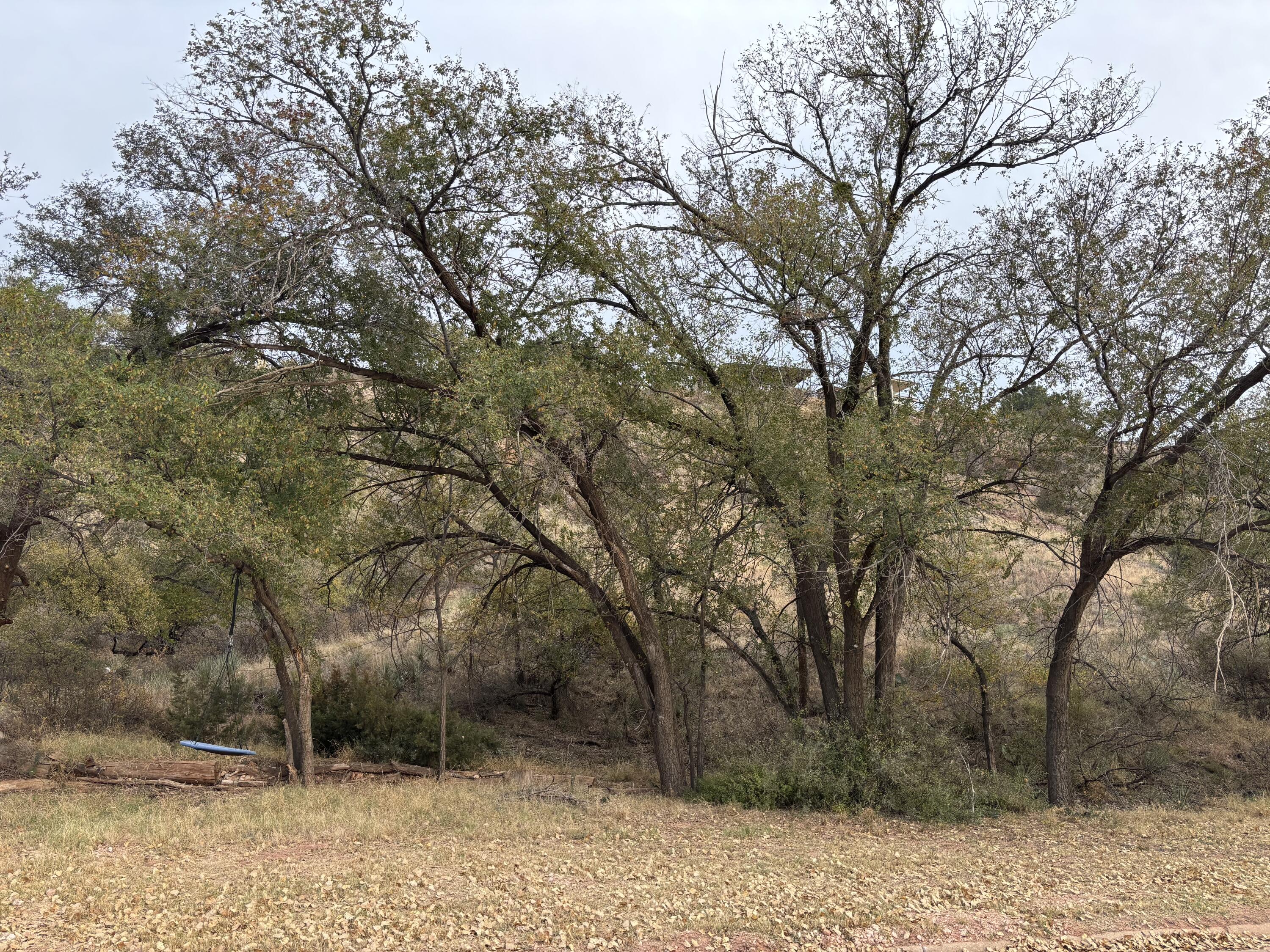 70 East Lakeshore Drive Ransom Canyon, TX 79366 - Photo 4 of 10 IMG_3650