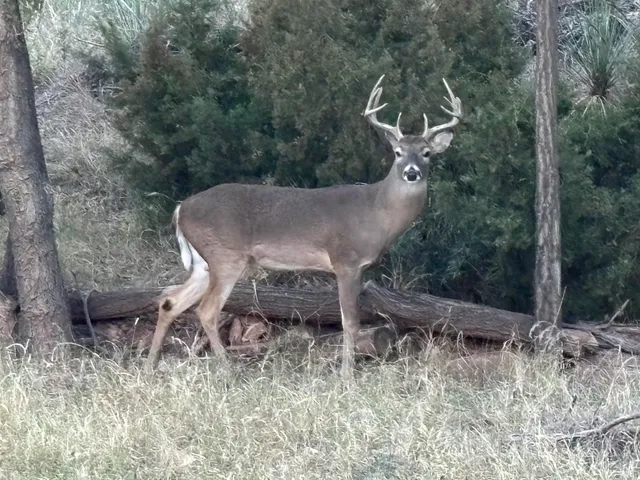 $109,000 | 70 East Lakeshore Drive, Ransom Canyon, TX 79366