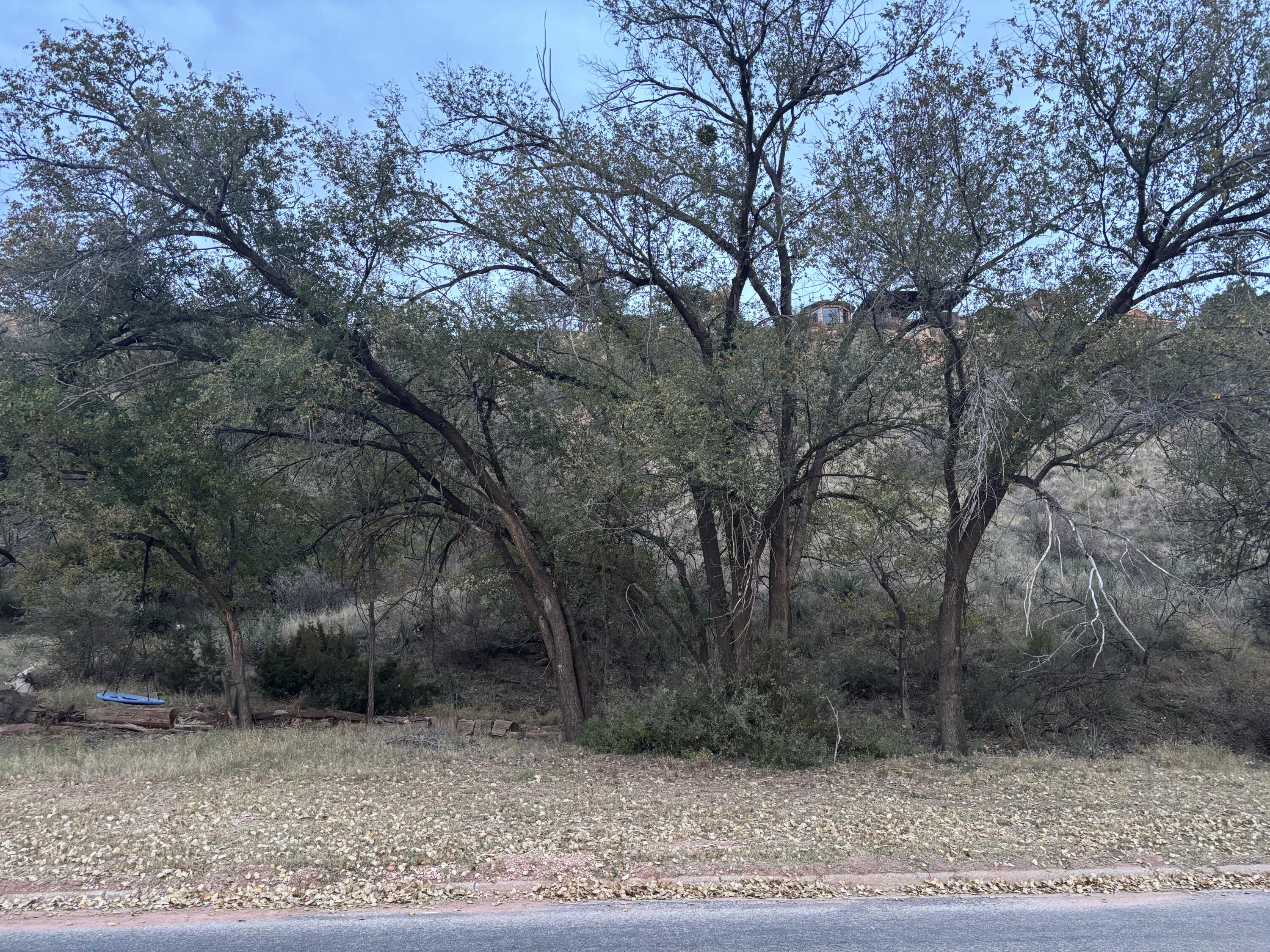 70 East Lakeshore Drive Ransom Canyon, TX 79366 - Photo 10 of 10 IMG_3638