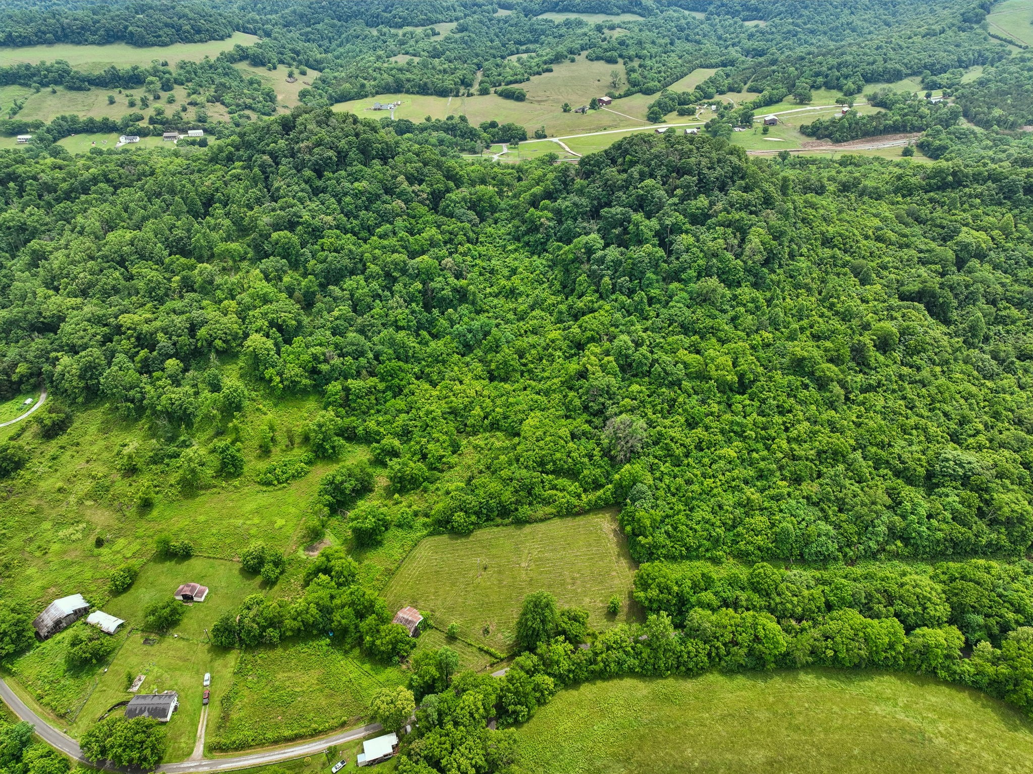 0 Little Salt Lick Creek Road Carthage, TN 37030 - Photo 4 of 17