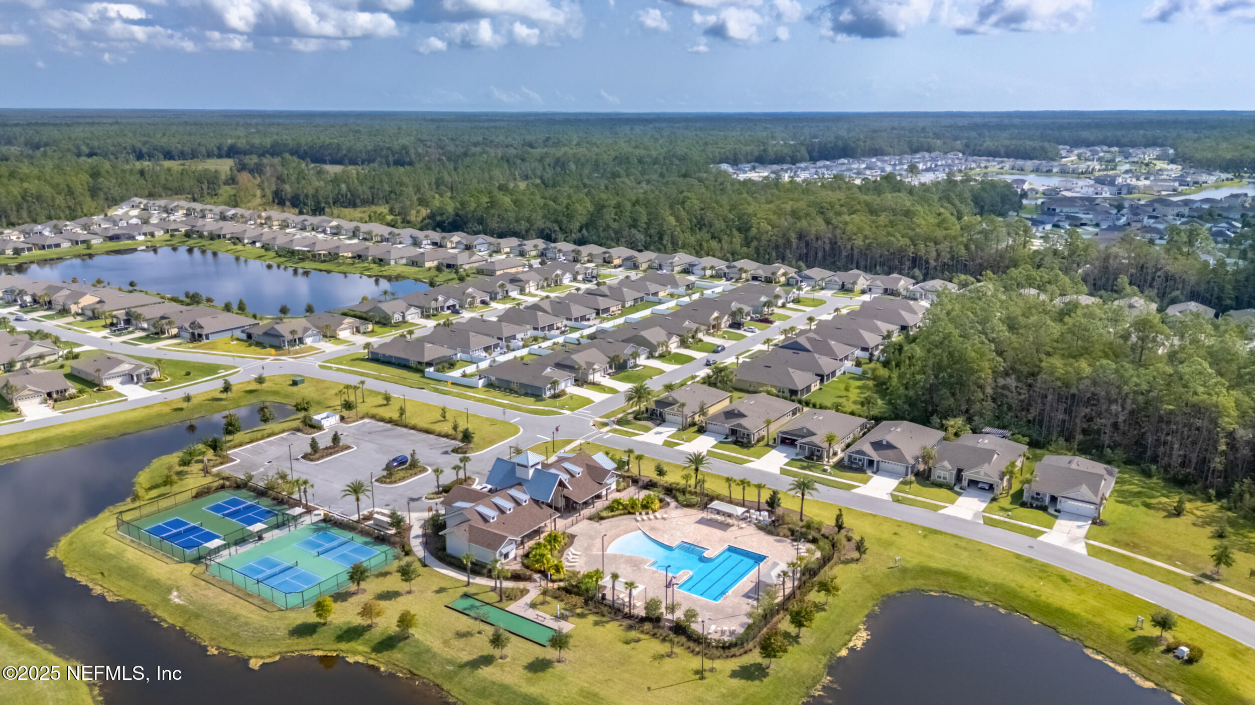 43 Cardinal Branch Ln Street St. Augustine, FL 32095 - Photo 40 of 50 ARIAL VIEW