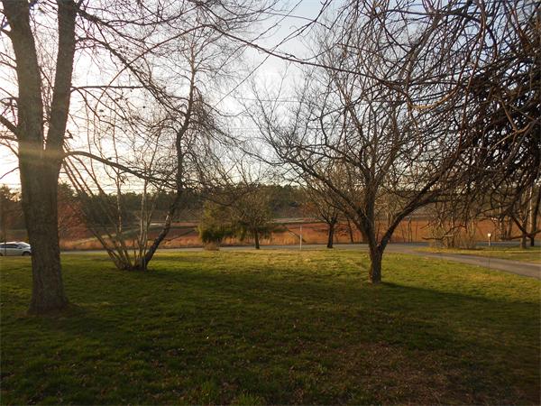 73 Wenham Road Carver, MA 02330 - Photo 7 of 14 Gallery Image 7