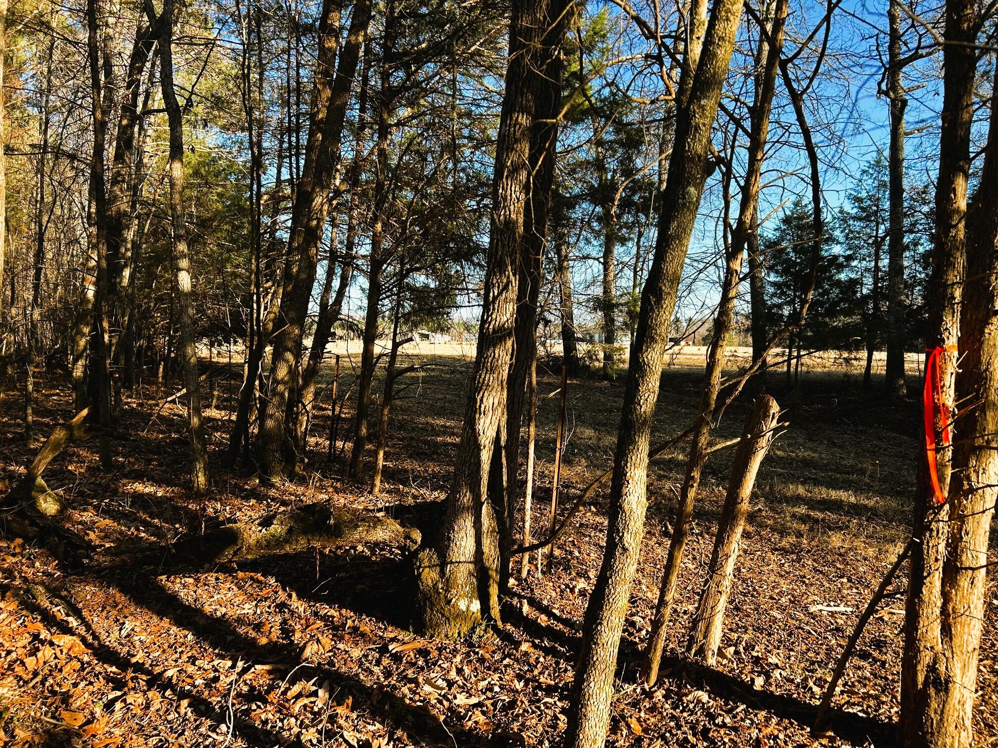5 Charles Road Decatur, TN 37322 - Photo 1 of 21 5 charles back property line