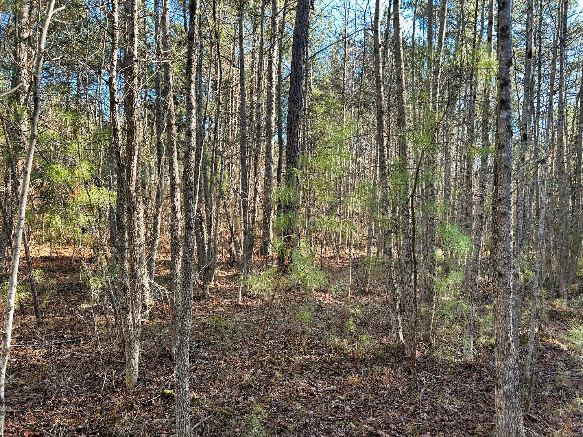 5 Charles Road Decatur, TN 37322 - Photo 18 of 21 5 charles in 6
