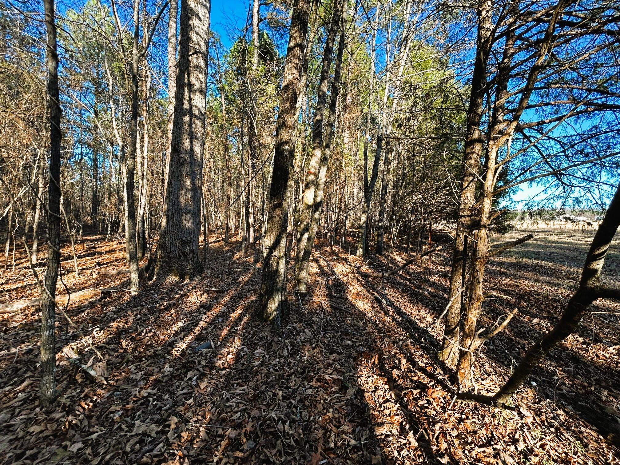 5 Charles Road Decatur, TN 37322 - Photo 21 of 21 5 charles in 2