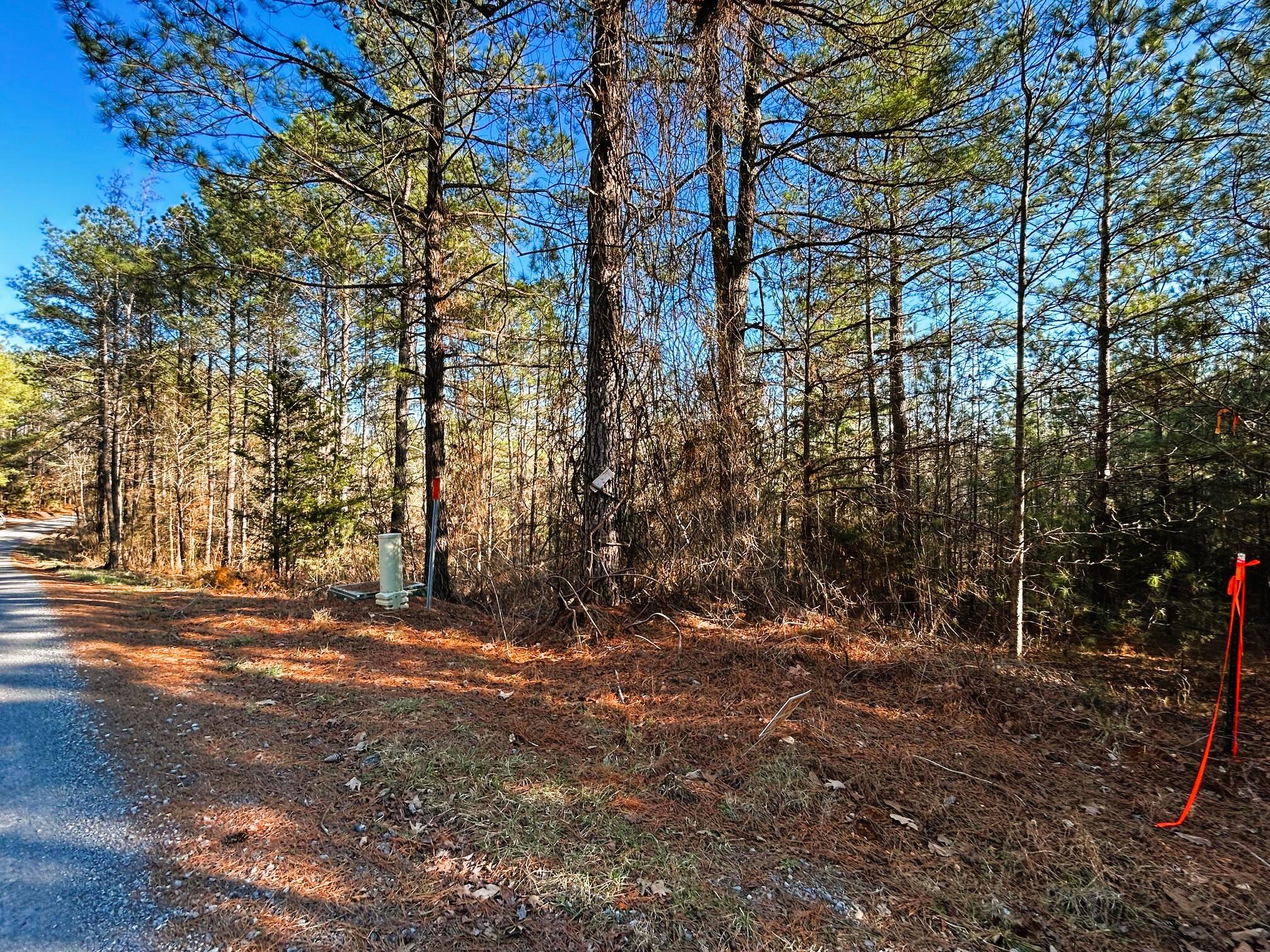 5 Charles Road Decatur, TN 37322 - Photo 3 of 21 5 charles front