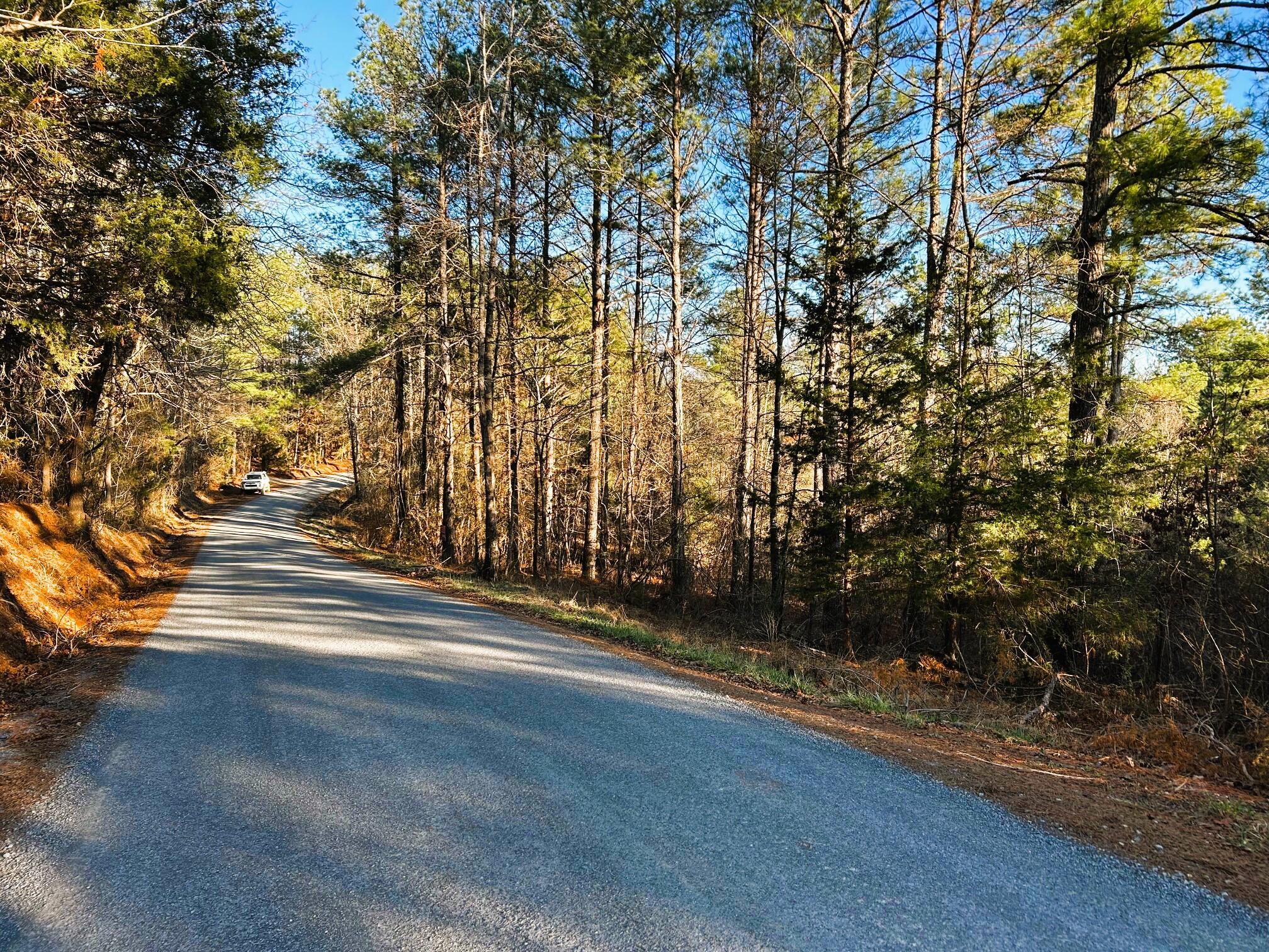5 Charles Road Decatur, TN 37322 - Photo 5 of 21 5 charles rd