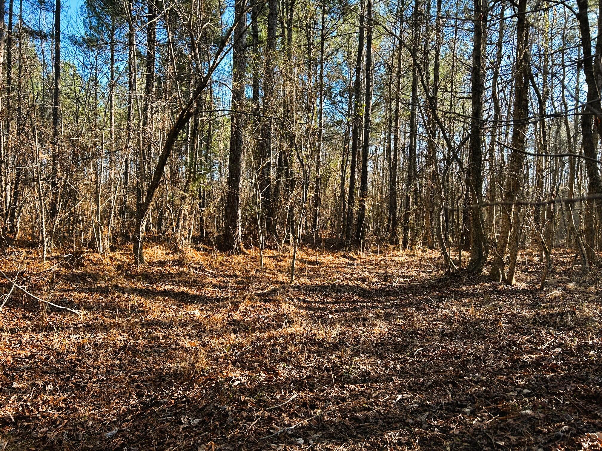 5 Charles Road Decatur, TN 37322 - Photo 7 of 21 5 charles in 4