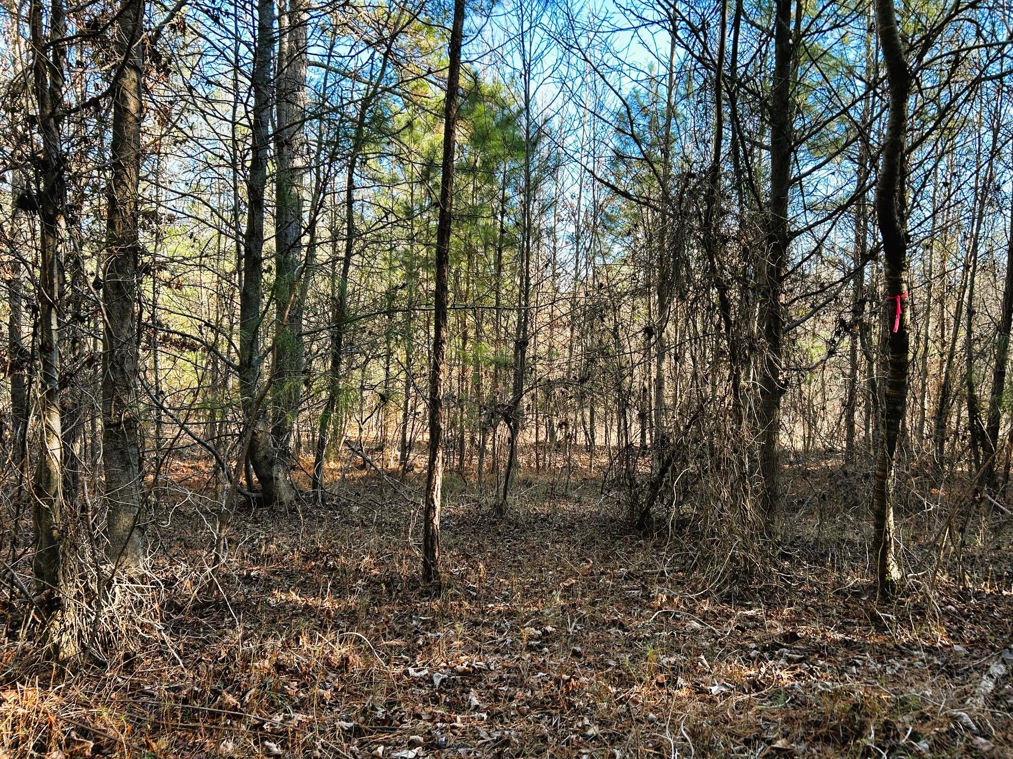 5 Charles Road Decatur, TN 37322 - Photo 10 of 21 5 charles in 14