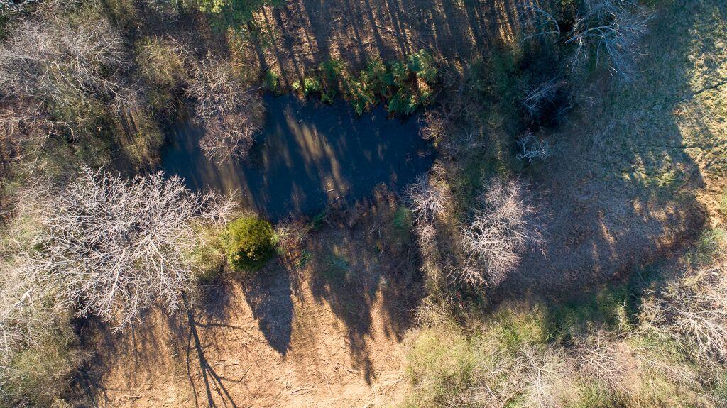 2960 Morgan Road Joelton, TN 37080 - Photo 26 of 27 pond